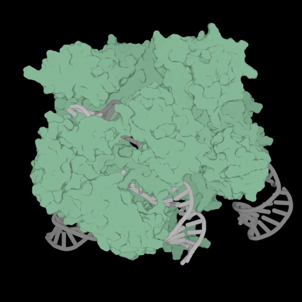 Generative A.I. Arrives in the Gene Editing World of CRISPR