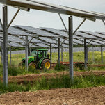 Can Dual-Use Solar Panels Provide Power and Share Space With Crops?