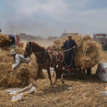 Food Supply Disruption Is Another Front for Russian Falsehoods